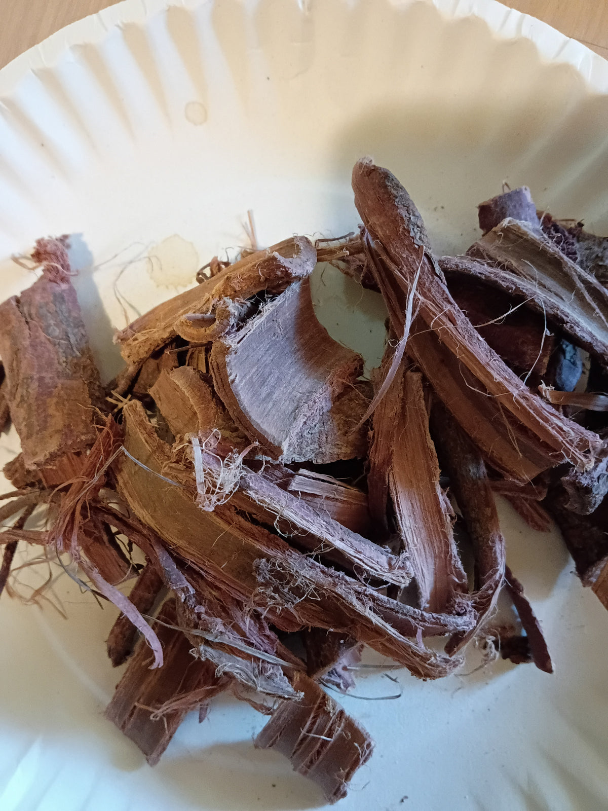 Mimosa tenuiflora root bark 30g