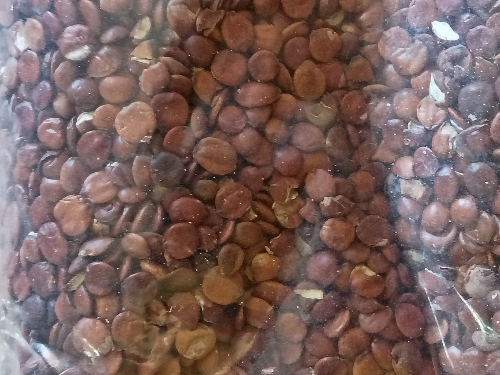 Ziziphus Spinosa seeds 30g
