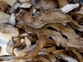Red peony root 30g