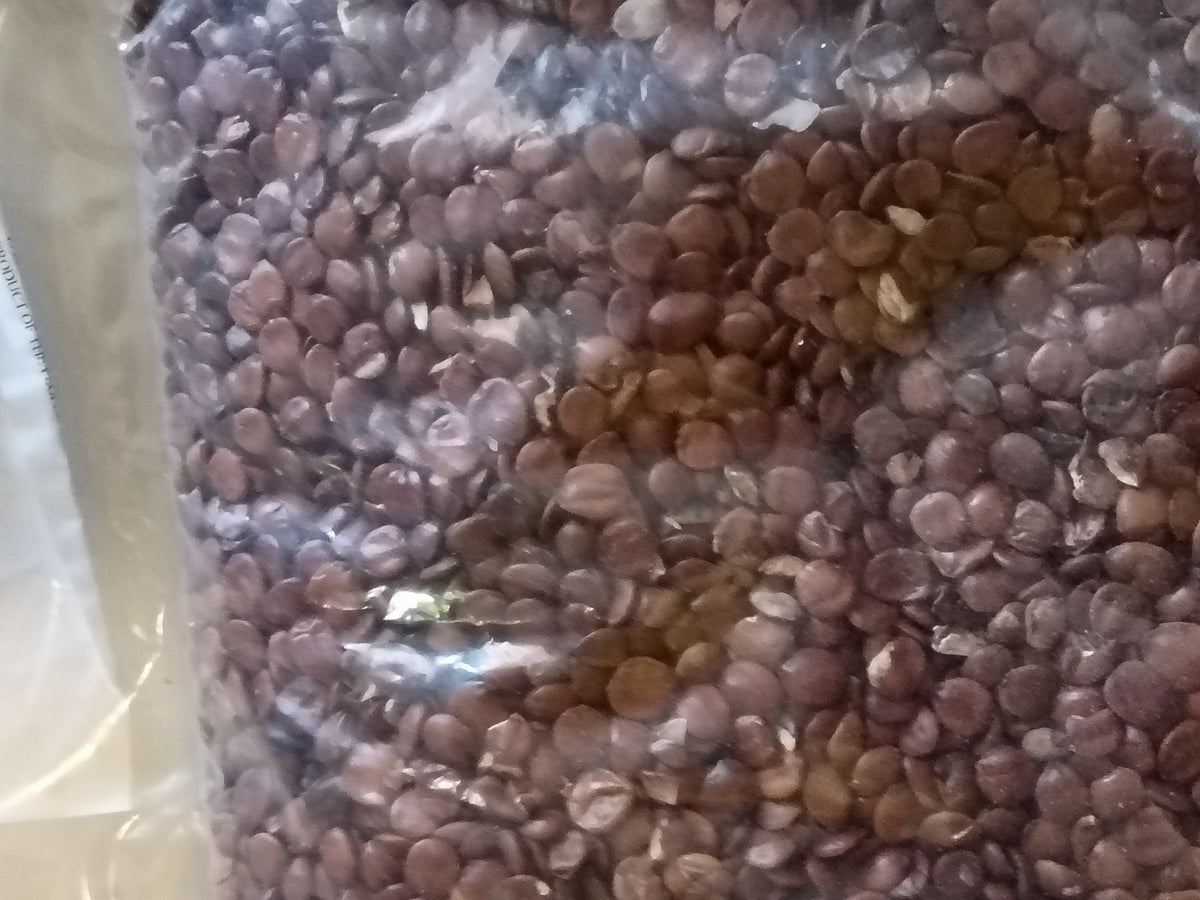 Ziziphus Spinosa seeds 30g