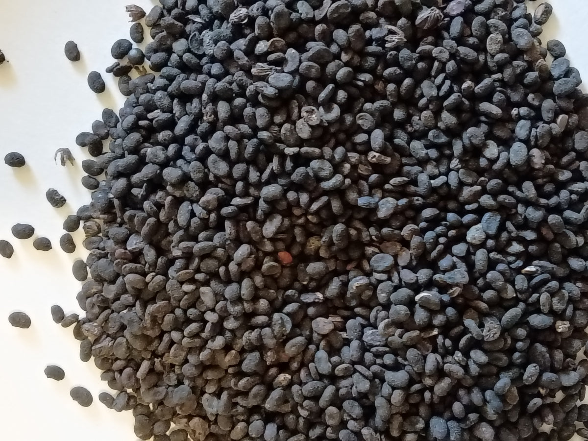 Psoralea corylifolium seeds 30g
