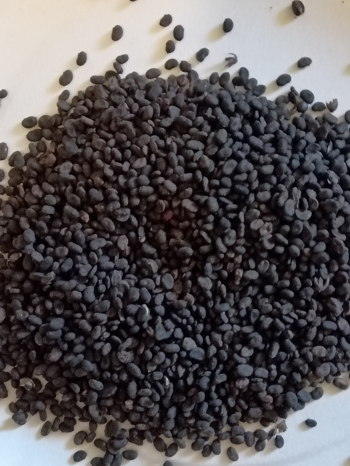 Psoralea corylifolium seeds 30g